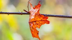 Fotograficzne podsumowanie jesieni na Mazurach 2022 - zdjęcie 124