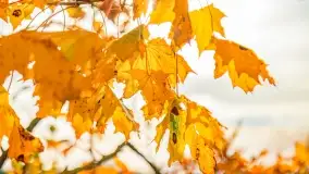 Fotograficzne podsumowanie jesieni na Mazurach 2022 - zdjęcie 166