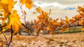 Fotograficzne podsumowanie jesieni na Mazurach 2022 - zdjęcie 35