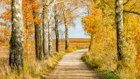 Fotograficzne podsumowanie jesieni na Mazurach 2022 - zdjęcie 25