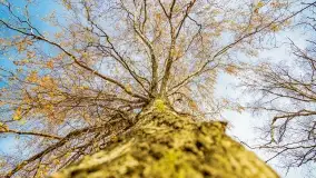 Fotograficzne podsumowanie jesieni na Mazurach 2022 - zdjęcie 53