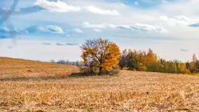 Fotograficzne podsumowanie jesieni na Mazurach 2022 - zdjęcie 140