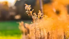 Fotograficzne podsumowanie jesieni na Mazurach 2022 - zdjęcie 152