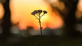 Mazurskie, przypadkowe obrazki z lata 2022 - zdjęcie 11