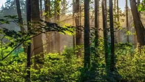 Mazurskie, przypadkowe obrazki z lata 2022 - zdjęcie 16