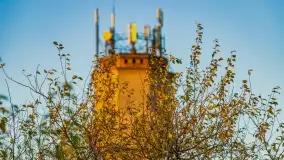 Zachód słońca w Maciejkach, niedaleko Mazur - zdjęcie 34