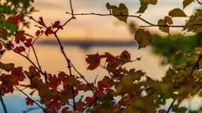 Zachód słońca nad jeziorem Dargin, wrzesień 2022 - zdjęcie 34