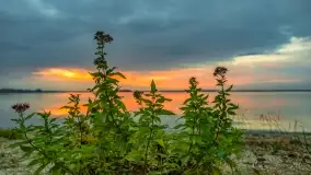 Zachód słońca nad jeziorem Dargin, wrzesień 2022 - zdjęcie 30