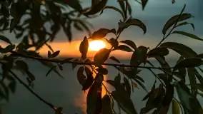 Pochmurny zachód słońca w Pierkunowie nad Kisajnem - zdjęcie 1