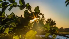 Zachód słońca nad jeziorem Dejgunek - zdjęcie 19