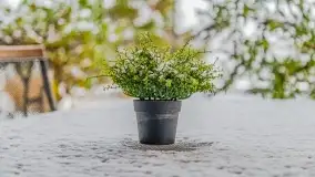 Pierwszy śnieg już za nami... Bocianie Gniazdo w Rynie - zdjęcie 28