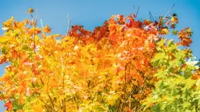 Kolory wrześniowych Mazur - zdjęcie 10