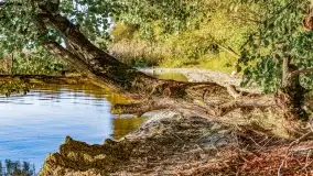 Kolory wrześniowych Mazur - zdjęcie 62