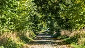 Kolory wrześniowych Mazur - zdjęcie 75