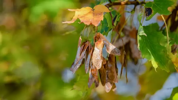 Jesienny Kętrzyn, październik 2022 - zdjęcie 10