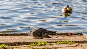 Jesienny Kętrzyn, październik 2022 - zdjęcie 21