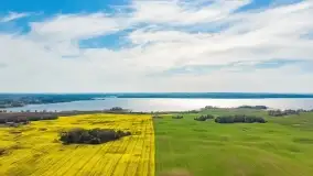 Rzepakowe pola, przypominamy żółty kolor Mazur - zdjęcie 2