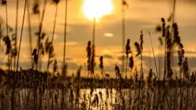 Mazurski zachód słońca, luty 2020 - zdjęcie 8