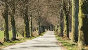 Mazurski las u progu wiosny, marzec 2020 - zdjęcie 24