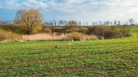 Końcówka zimy 2021, zdjęcia z drona - zdjęcie 23