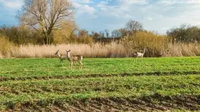 Końcówka zimy 2021, zdjęcia z drona - zdjęcie 2