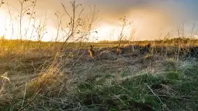 Końcówka zimy 2021, zdjęcia z drona - zdjęcie 25