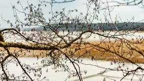 Przedwiośnie na mazurskich polach i łąkach, marzec 2021 - zdjęcie 25