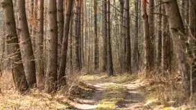 Przedwiośnie na mazurskich polach i łąkach, marzec 2021 - zdjęcie 67