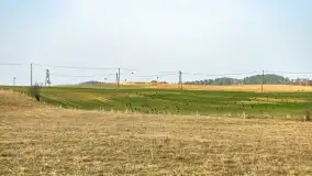 Przedwiośnie na mazurskich polach i łąkach, marzec 2021 - zdjęcie 38