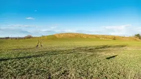 Przedwiośnie na mazurskich polach i łąkach, marzec 2021 - zdjęcie 44