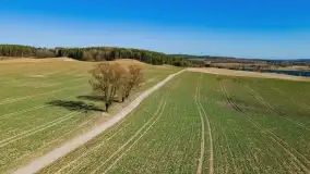 Początki wiosny 2022, leśne krajobrazy - zdjęcie 6