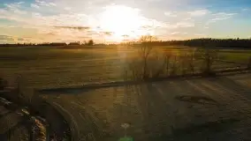 Początki wiosny 2022, leśne krajobrazy - zdjęcie 19