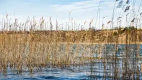 Początki wiosny 2022, leśne krajobrazy - zdjęcie 18