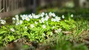 Początki wiosny 2022, leśne krajobrazy - zdjęcie 39