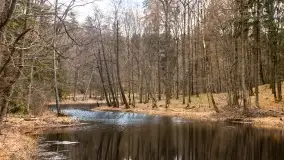 Początki wiosny 2022, leśne krajobrazy - zdjęcie 62