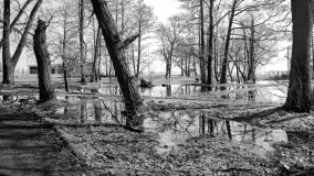 Cień historii, czasy PRL (1945-1989) - Giżycko - zdjęcie 138