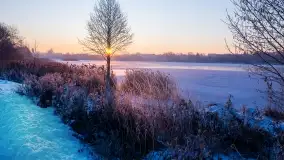 Zimowe okolice Szczytna na zdjęciach Marty Sotnik - zdjęcie 10