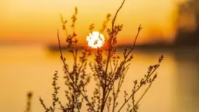 Wschód słońca nad jeziorem Niegocin, grudzień 2022 - zdjęcie 41