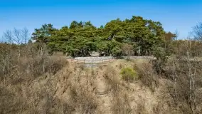 Cmentarz wojenny Jagerhohe i jezioro Święcajty na początku wiosny, 2022 - zdjęcie 12