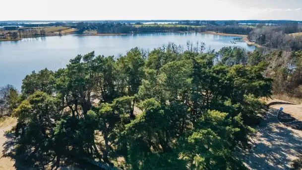 Cmentarz wojenny Jagerhohe i jezioro Święcajty na początku wiosny, 2022 - zdjęcie 8