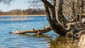 Cmentarz wojenny Jagerhohe i jezioro Święcajty na początku wiosny, 2022 - zdjęcie 3