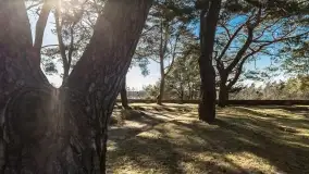 Cmentarz wojenny Jagerhohe i jezioro Święcajty na początku wiosny, 2022 - zdjęcie 41