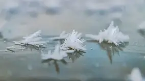 Bajkowe i zimowe klimaty nad jeziorem Dargin, grudzień 2022 - zdjęcie 65