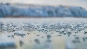 Bajkowe i zimowe klimaty nad jeziorem Dargin, grudzień 2022 - zdjęcie 45