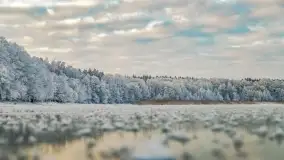 Bajkowe i zimowe klimaty nad jeziorem Dargin, grudzień 2022 - zdjęcie 48