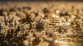 Bajkowe i zimowe klimaty nad jeziorem Dargin, grudzień 2022 - zdjęcie 20