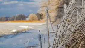Bajkowe i zimowe klimaty nad jeziorem Dargin, grudzień 2022 - zdjęcie 33