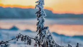 Bajkowe i zimowe klimaty nad jeziorem Dargin, grudzień 2022 - zdjęcie 44