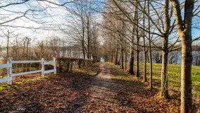 Zima już bez śniegu w Trygorcie, końcówka 2022 roku - zdjęcie 12