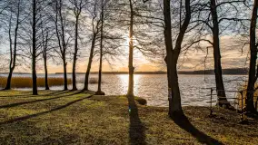 Zima już bez śniegu w Trygorcie, końcówka 2022 roku - zdjęcie 21